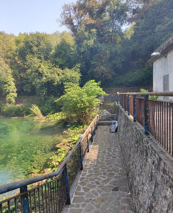 Sorgente del fiume Mercure景点图片