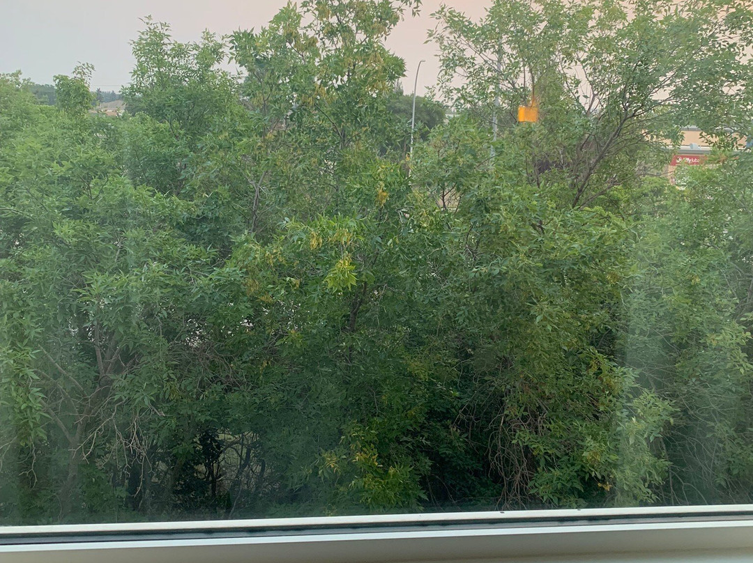 Fairfield by Marriott Inn & Suites Edmonton North主图