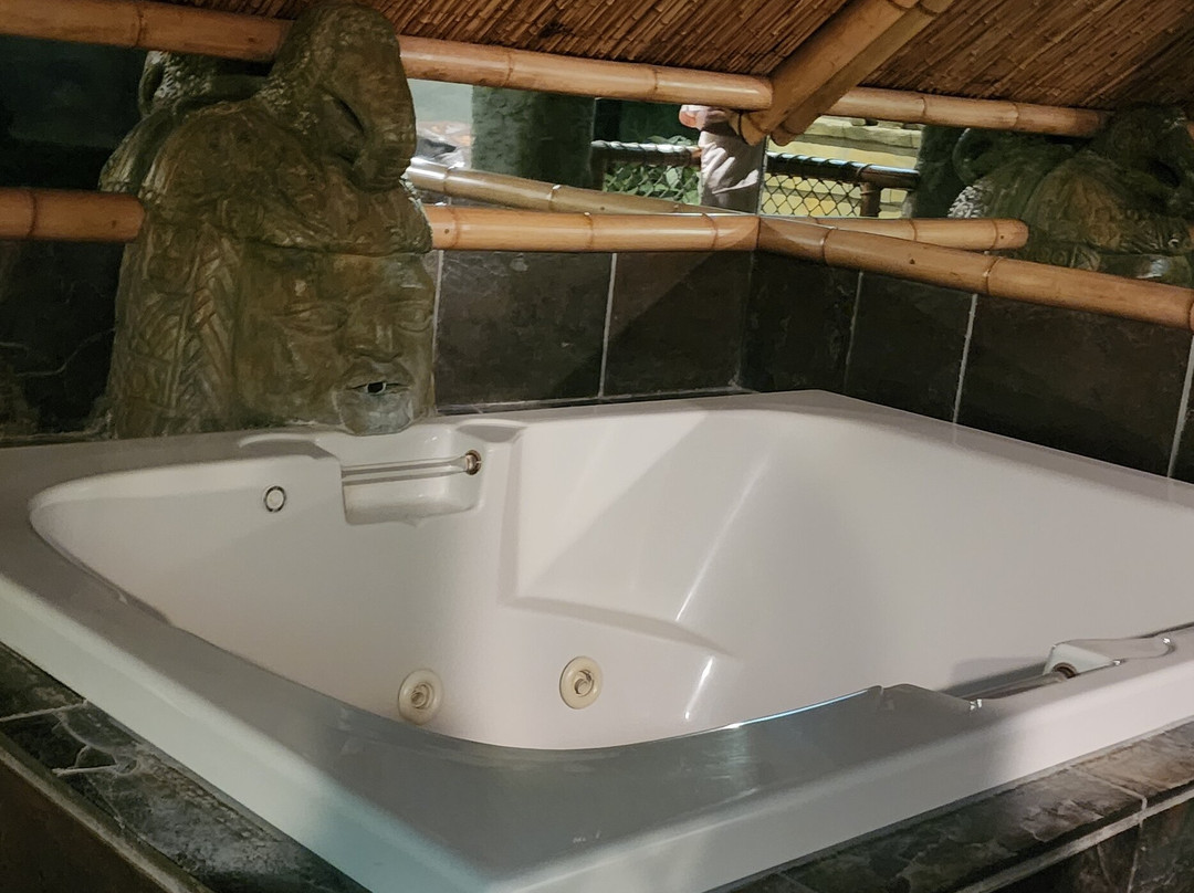 黑天鹅豪华主题客房酒店主图