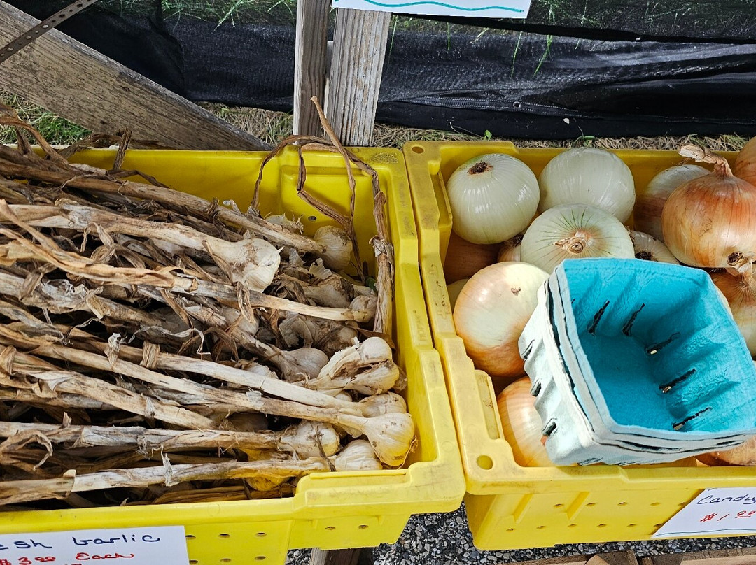 Brad's Produce-Churchville必去景点