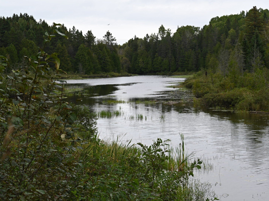 Pont couvert des Draveurs-Rimouski必去景点
