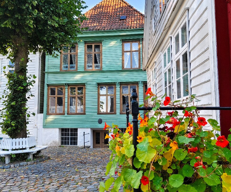 Gamle Bergen Museum - Bymuseet I Bergen-卑尔根必去景点