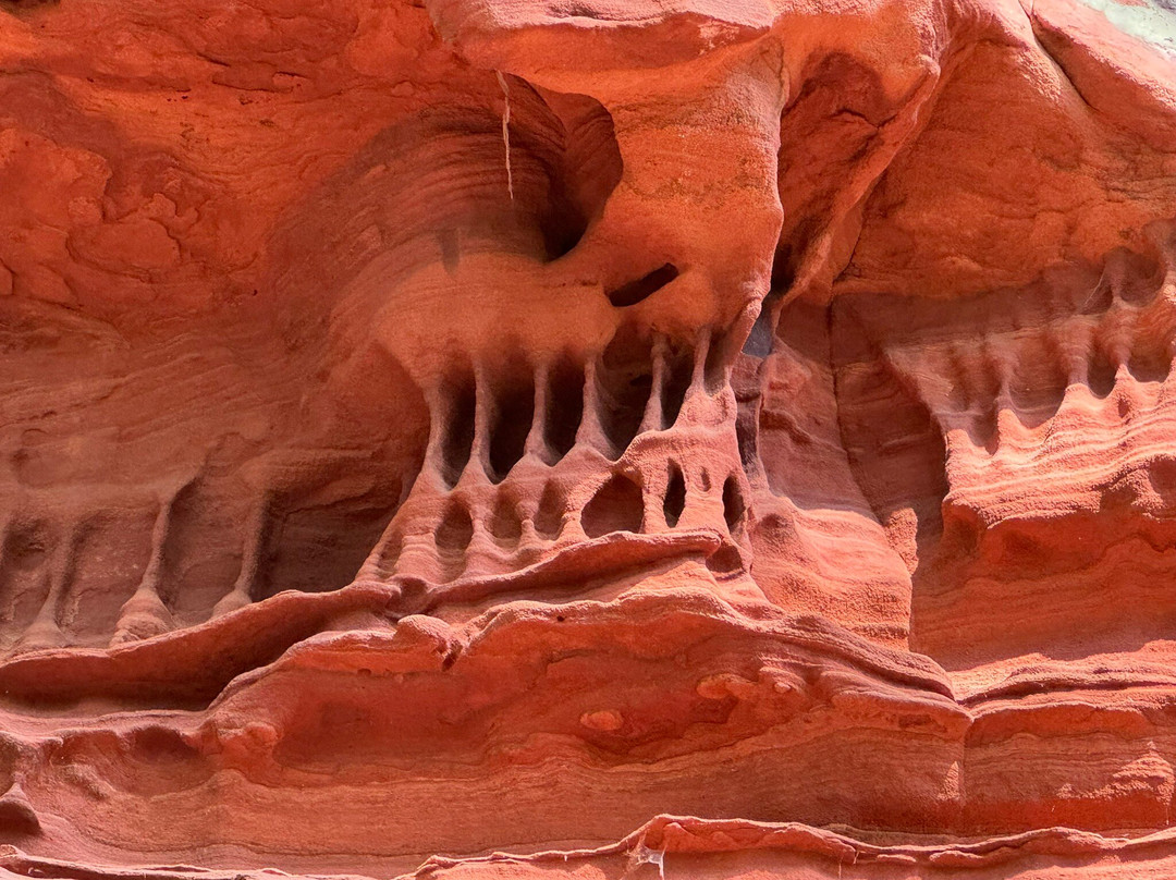 Altschlossfelsen-Eppenbrunn必去景点