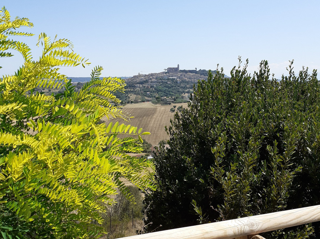 Colle Dei Falchi主图