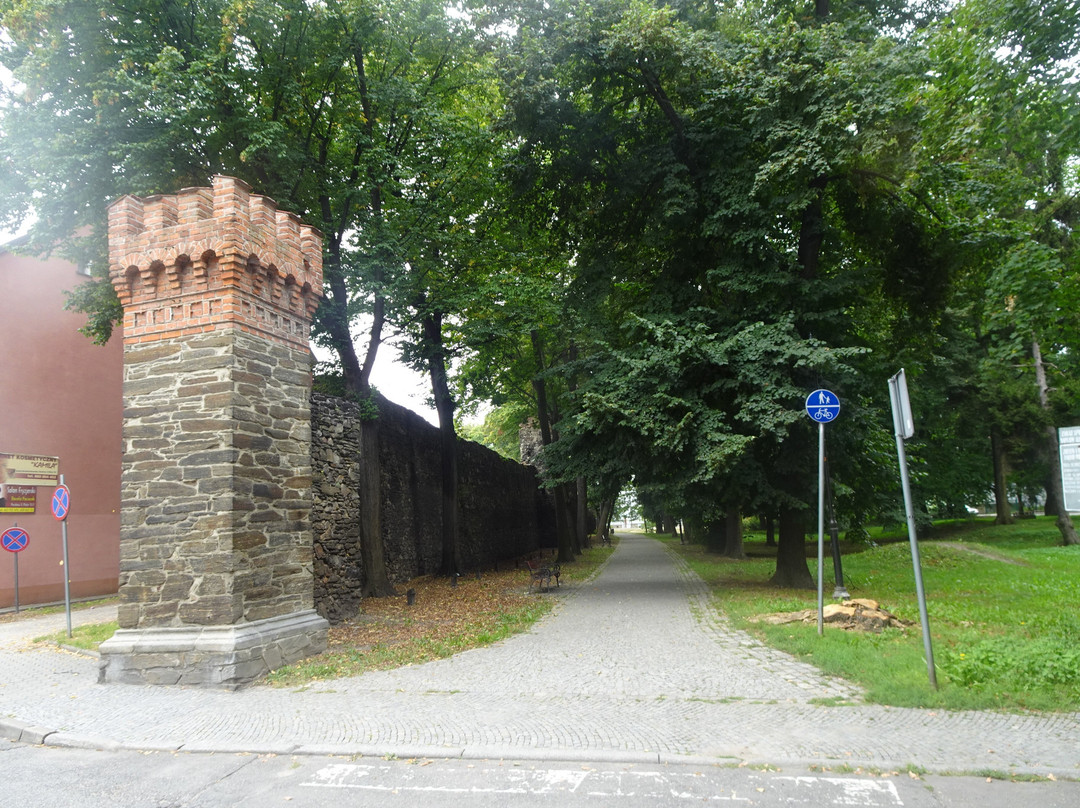 Defensive City Walls景点图片