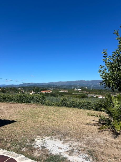 Quinta De Mocamedes-官方
