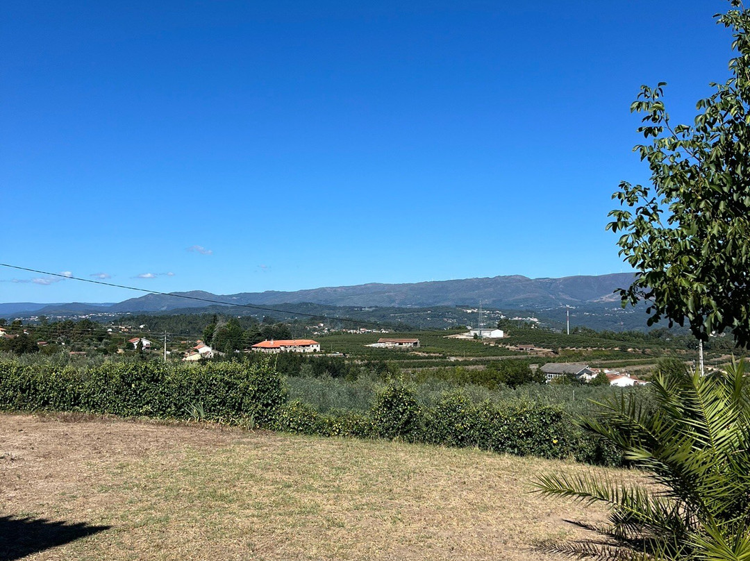 Quinta De Mocamedes主图