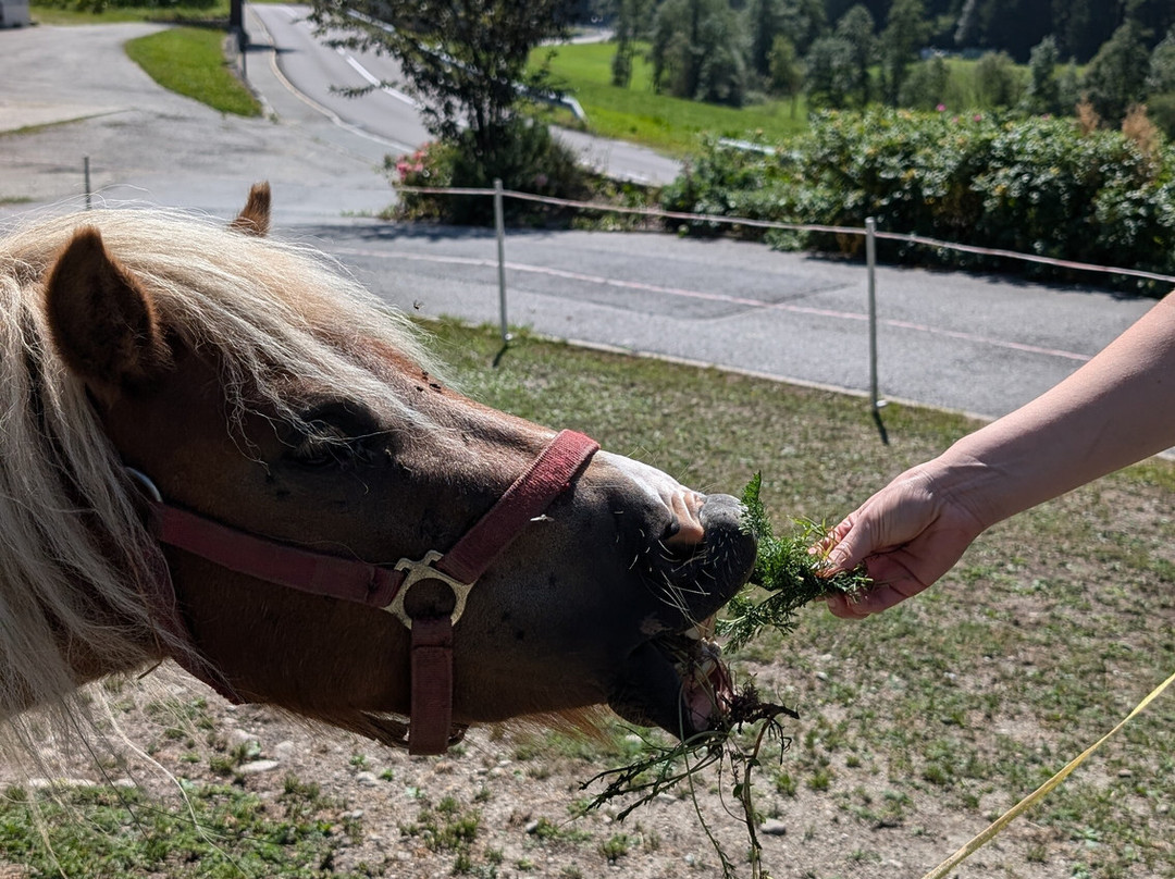 Familienhotel Huber主图