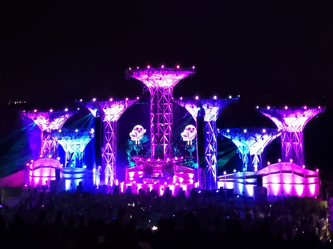 Mysteryland景点图片