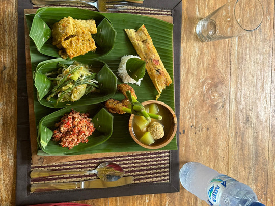 Lesung Bali-乌布必去景点