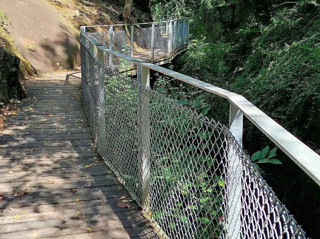 Gorges Du Sierroz景点图片