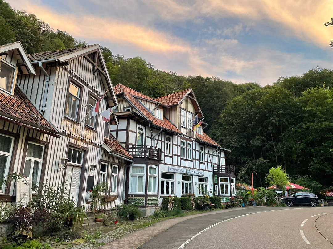 Hotel Zur Luppbode主图