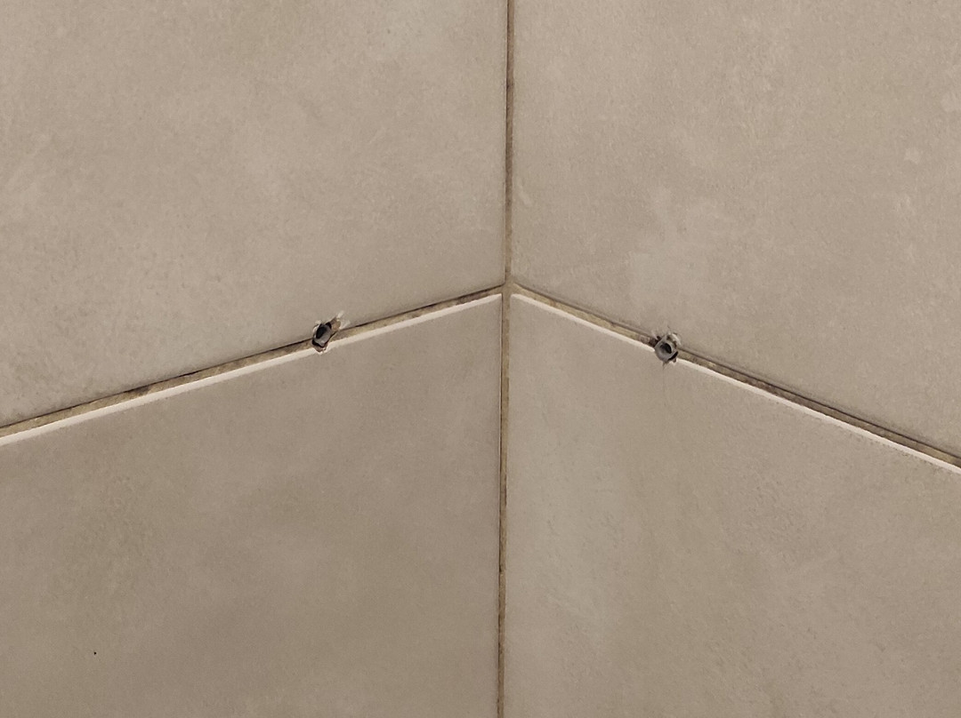 Hotel Magnat Spa Grzybowo主图