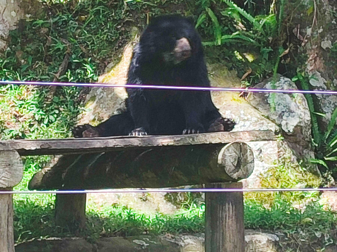 Chorros de Milla Zoo-梅里达市必去景点