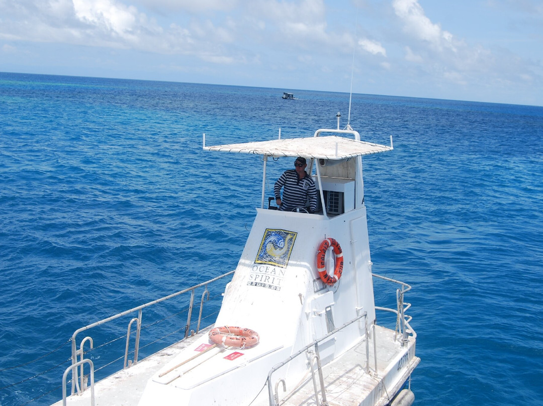 Ocean Spirit Cruises景点图片