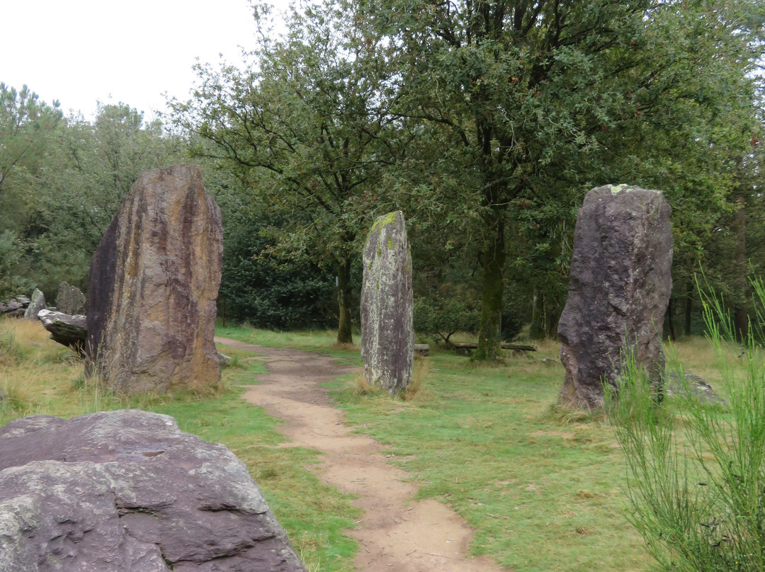 Menhirs de Monteneuf景点图片