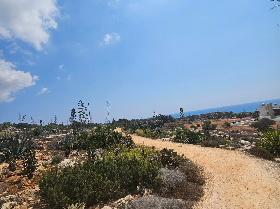 Ayia Napa Cactus Park-阿依纳帕必去景点