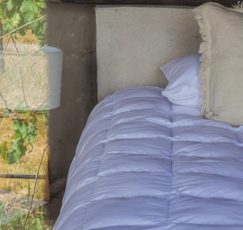 Viñedo Tierra de Alonso主图