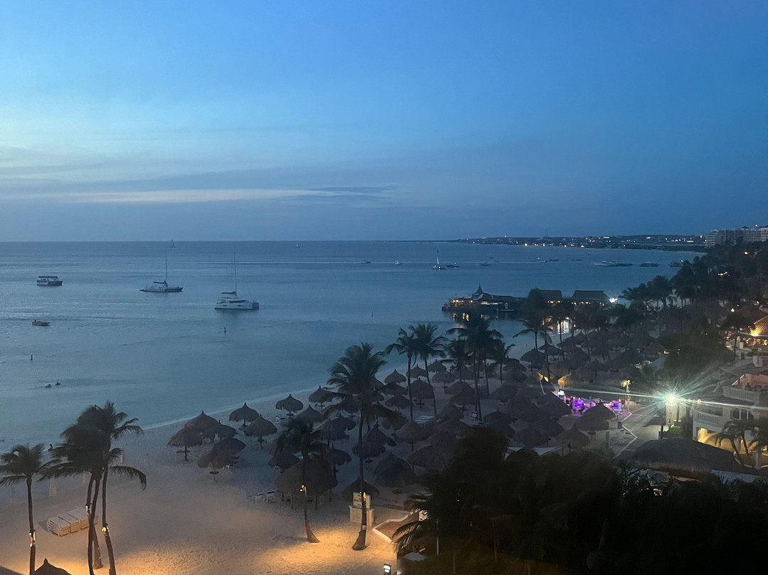 阿鲁巴岛君悦酒店赌场主图