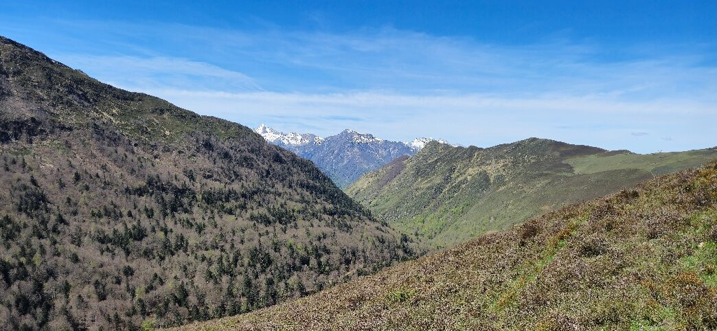 Lac D’Isaby景点图片