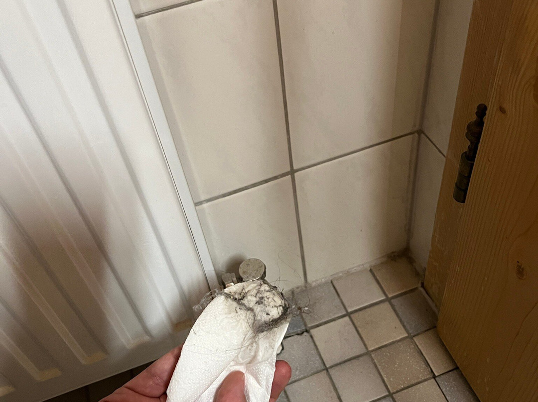 First Mountain Hotel Öetztal主图