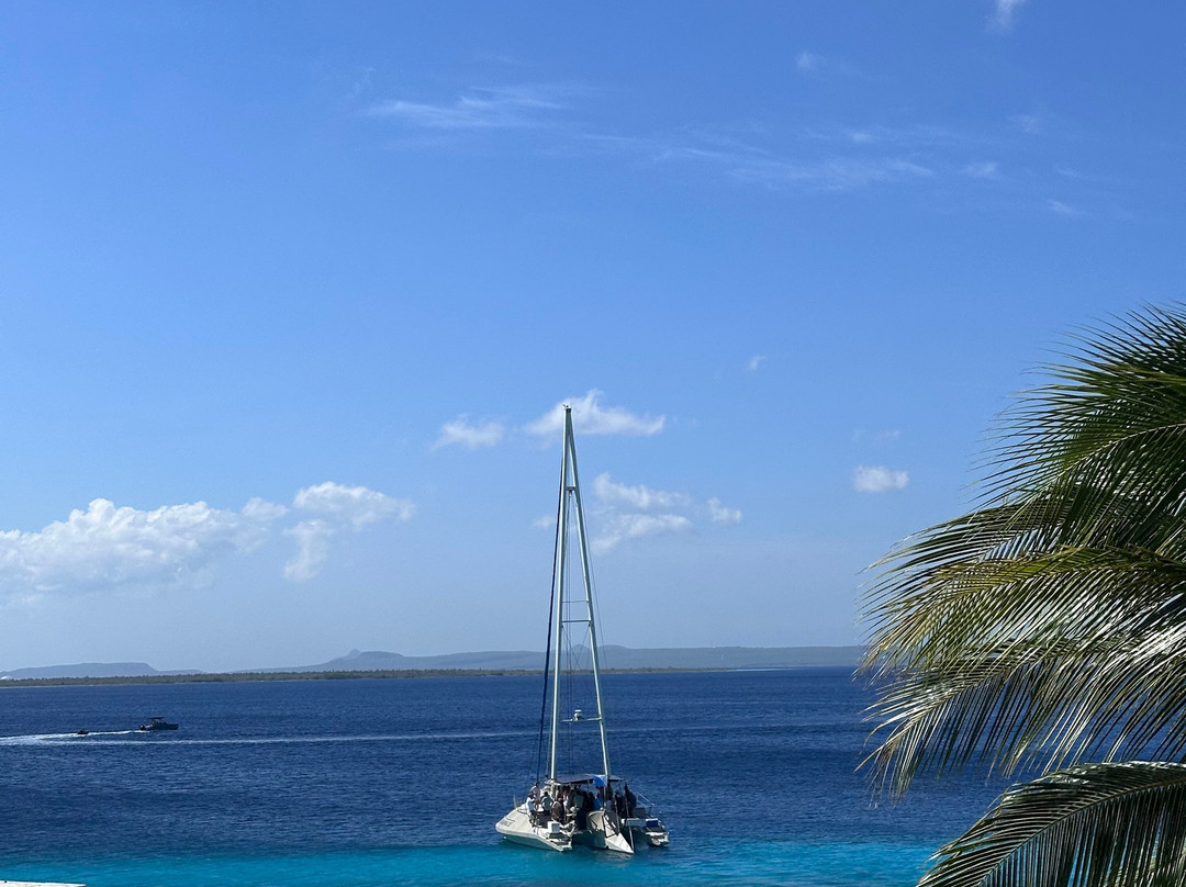 Port Bonaire Residencia主图