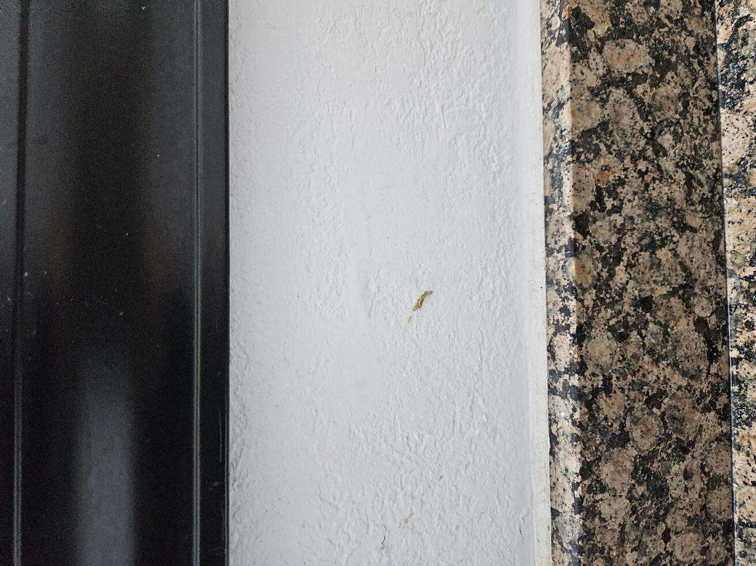 SureStay Plus By Best Western Edmond主图