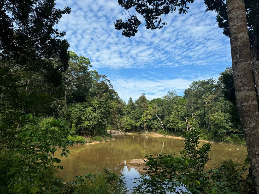 Taman Negeri Rompin Pahang景点图片