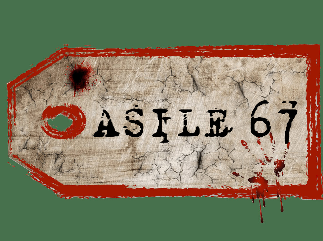 Asile 67, L'escape Game À Sensations