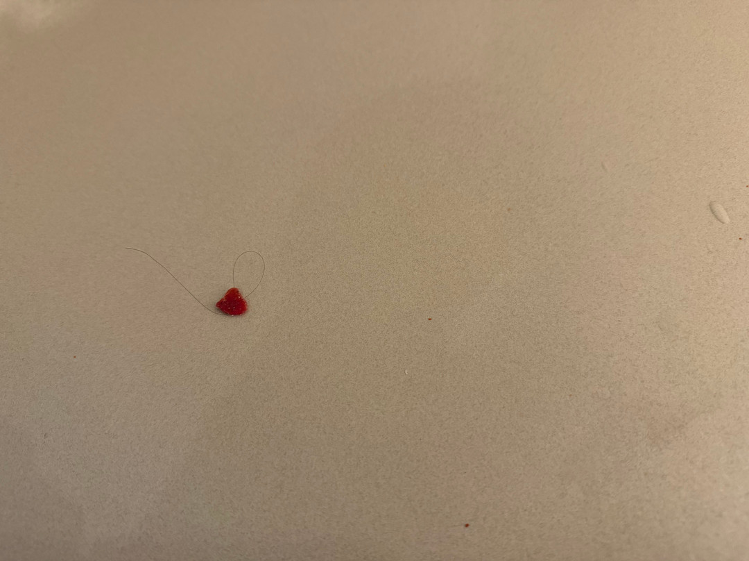 怀特克莱大洋路度假公寓