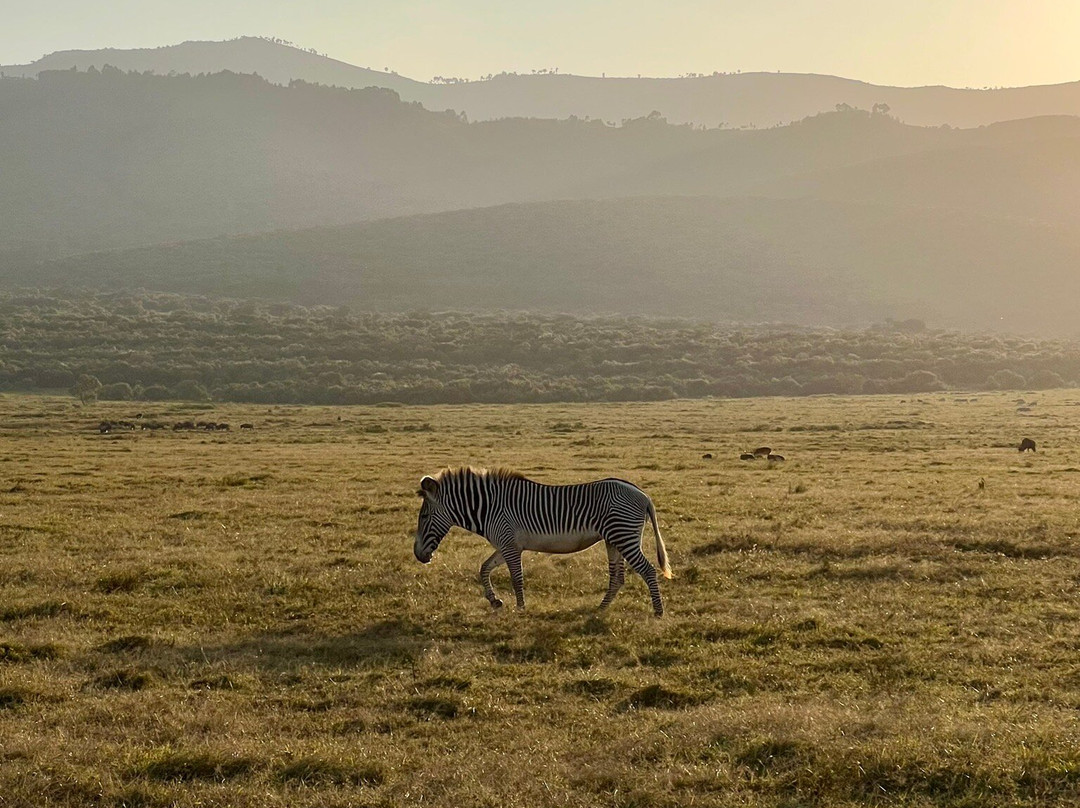 Oserengoni Wildlife Sanctuary-奈瓦夏必去景点