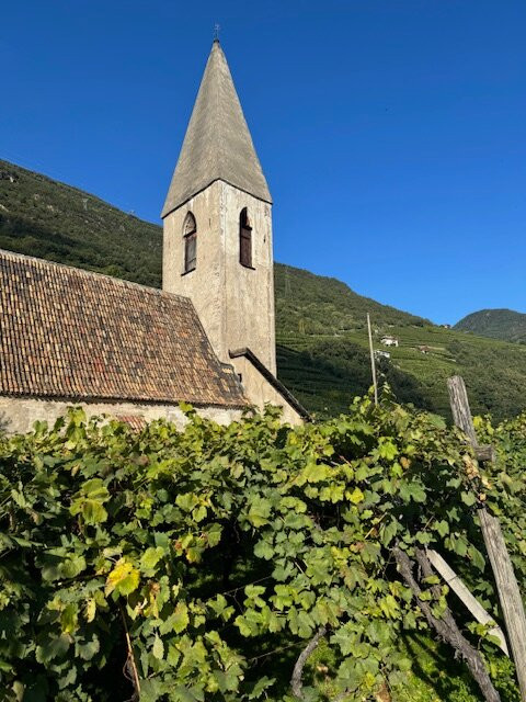 Weingut Plonerhof-博尔扎诺必去景点