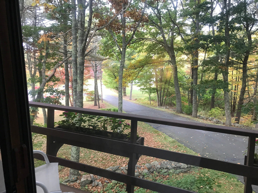 Howard House Lodge主图