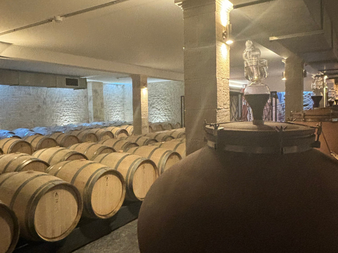Bergerac Wine Tours景点图片