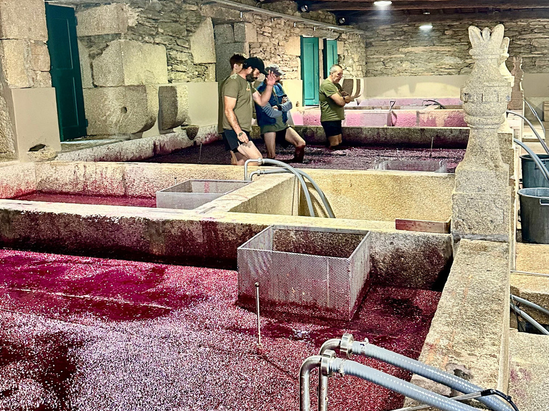 Gricha Vineyard House主图