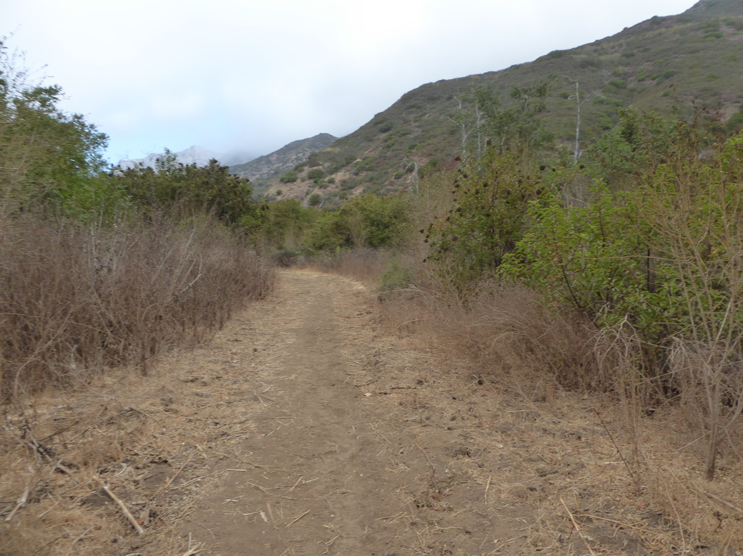 Zuma and Trancas Canyons-马里布必去景点