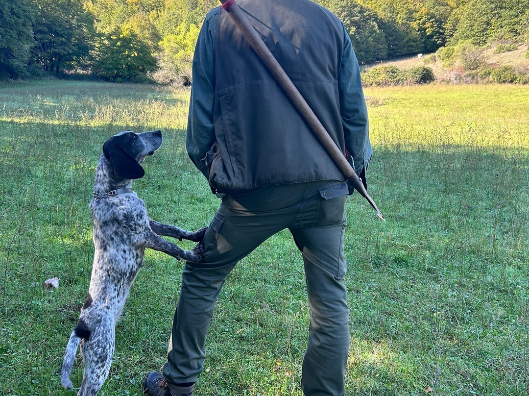 Wild Foods Italy-Montefalco必去景点