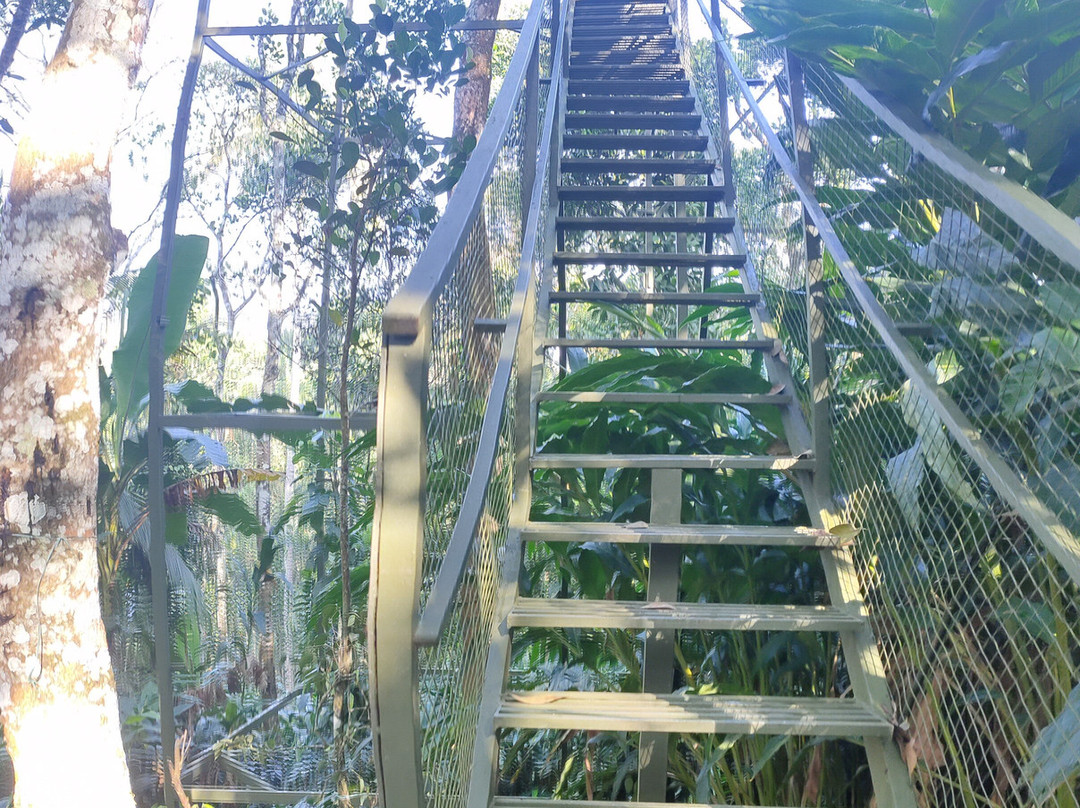 SpiceBuds FarmStay - Ramakkalmedu