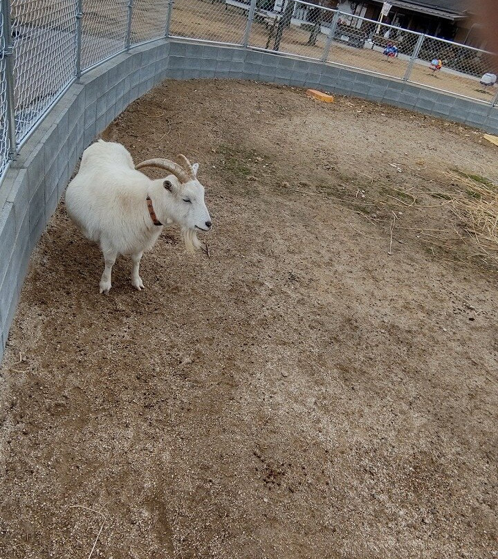 Michi-no-Eki Oki-大木町必去景点