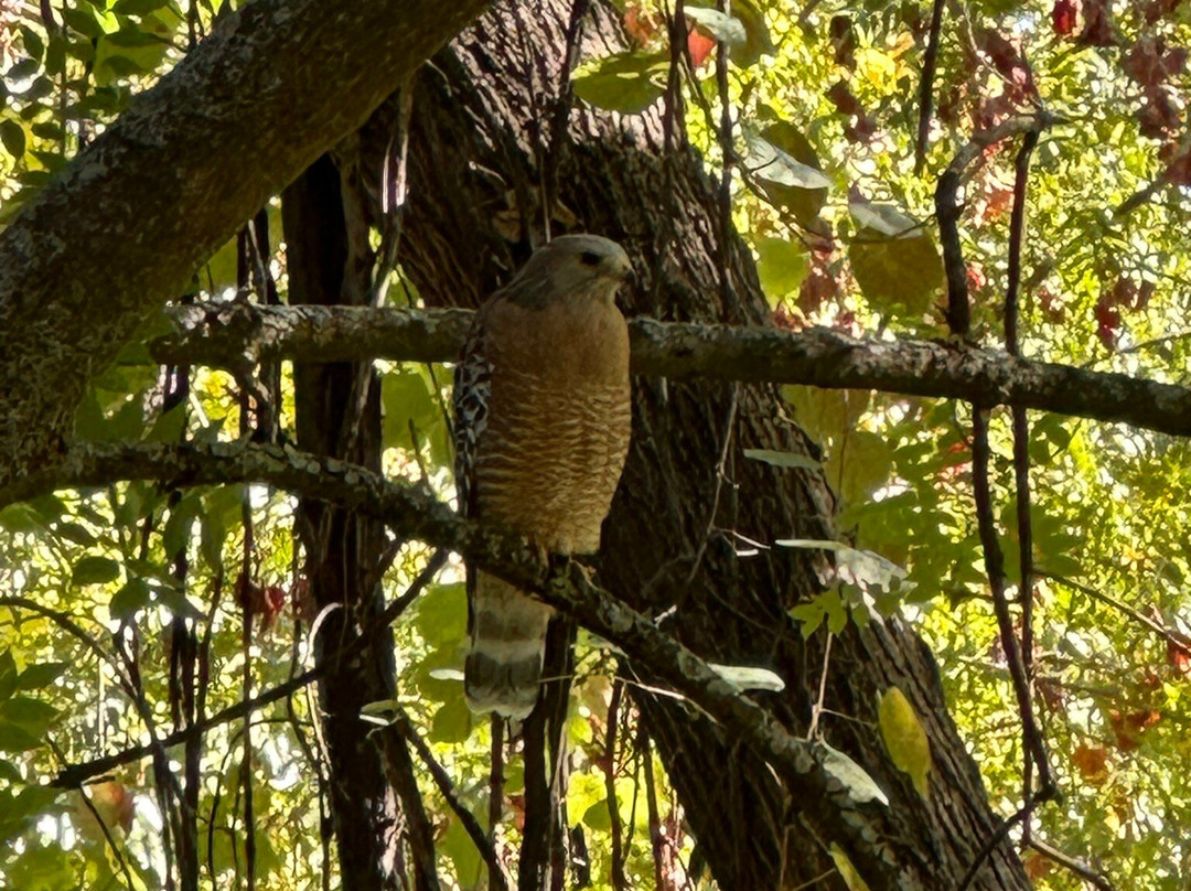 比德韦尔公园-奇科必去景点