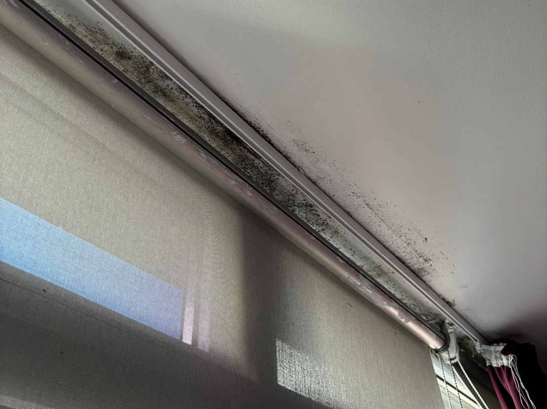 Pension Pardellas主图