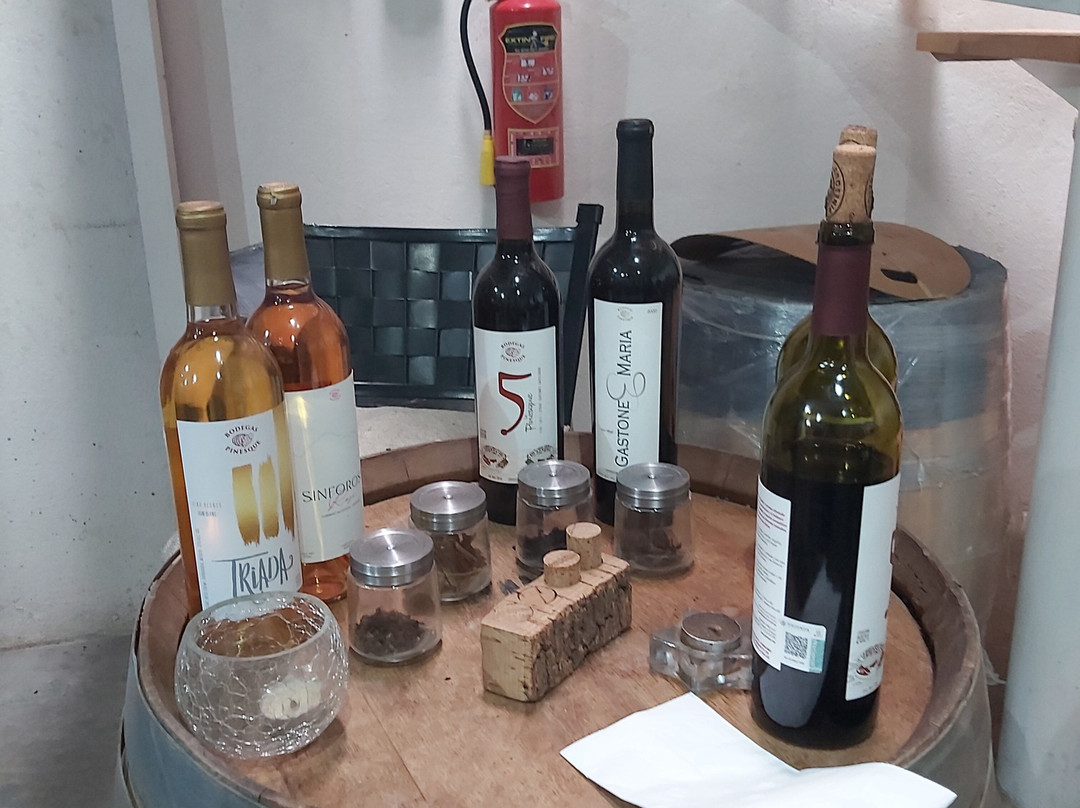 Bodegas Pinesque-奇瓦瓦州必去景点