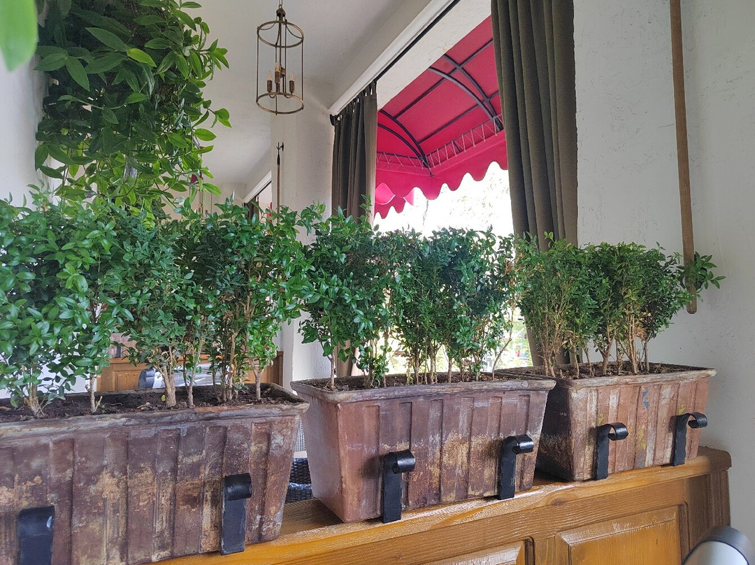 Ethno Hotel