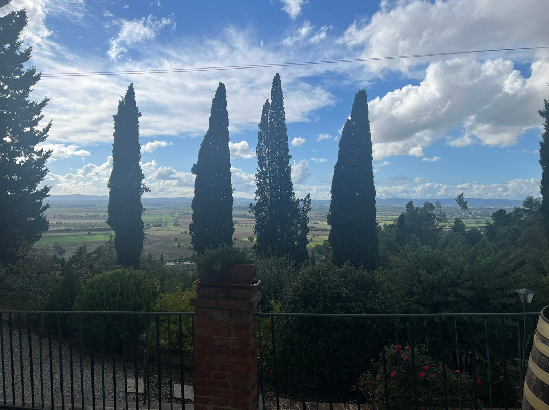 A Tuscany, Truffles, Cooking & Wine Signature Series-科尔托纳必去景点