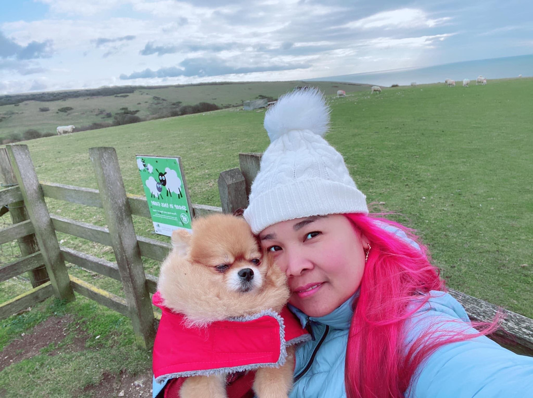 Friston Forest景点图片