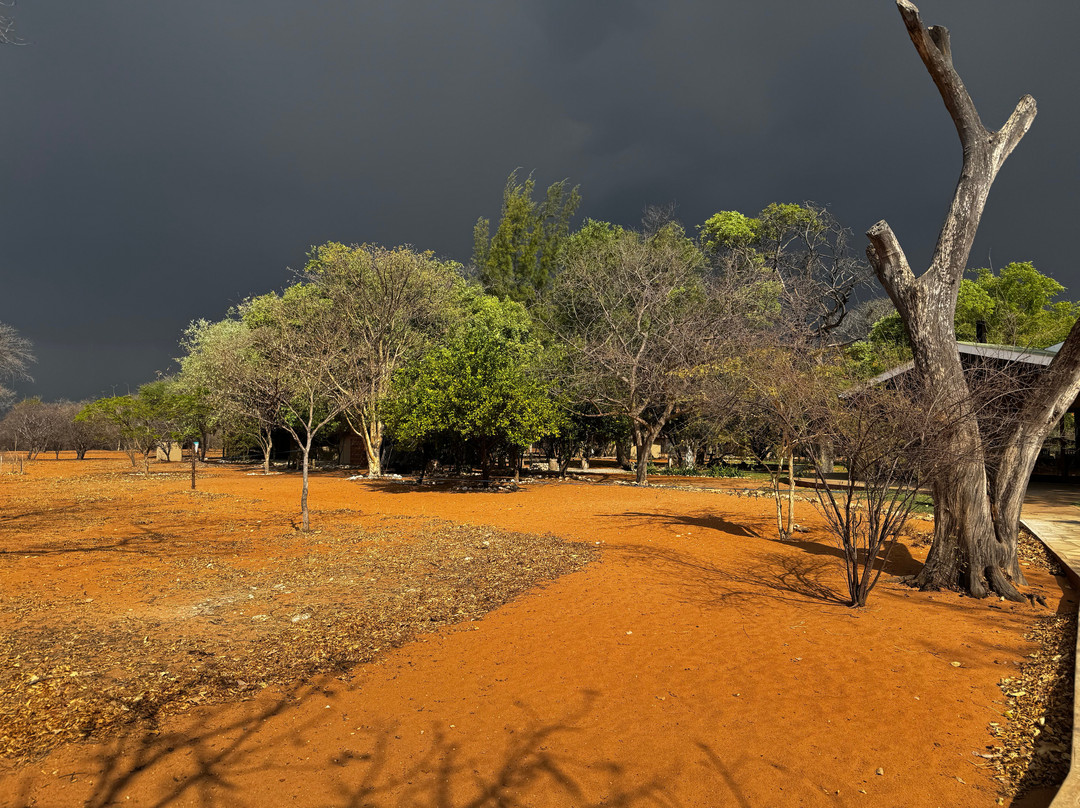 Wildacker Guestfarm主图