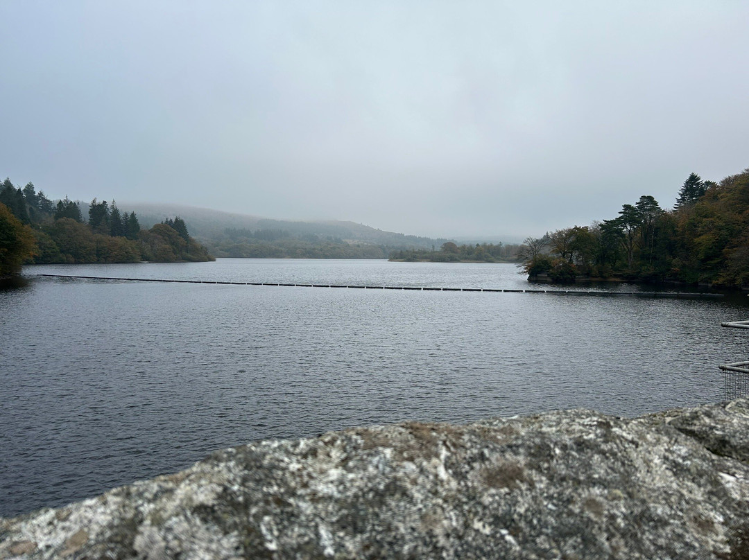 Burrator Reservoir景点图片