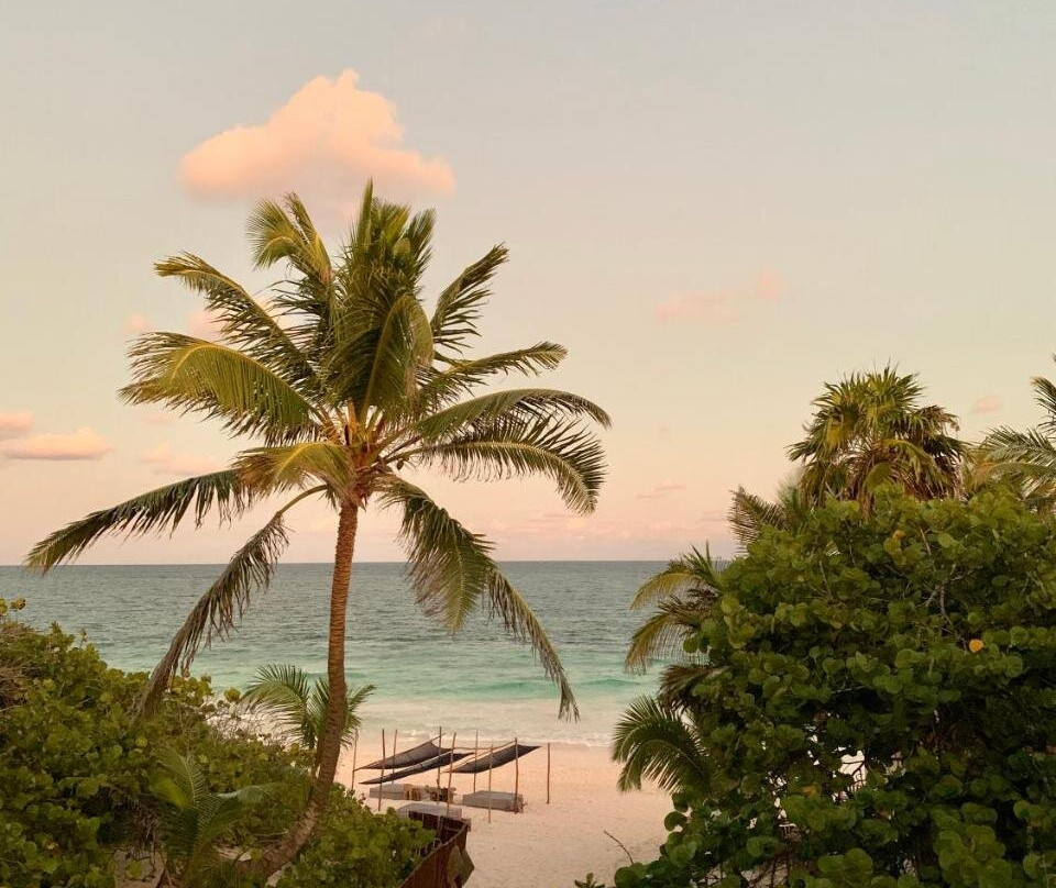 Libelula Tulum主图