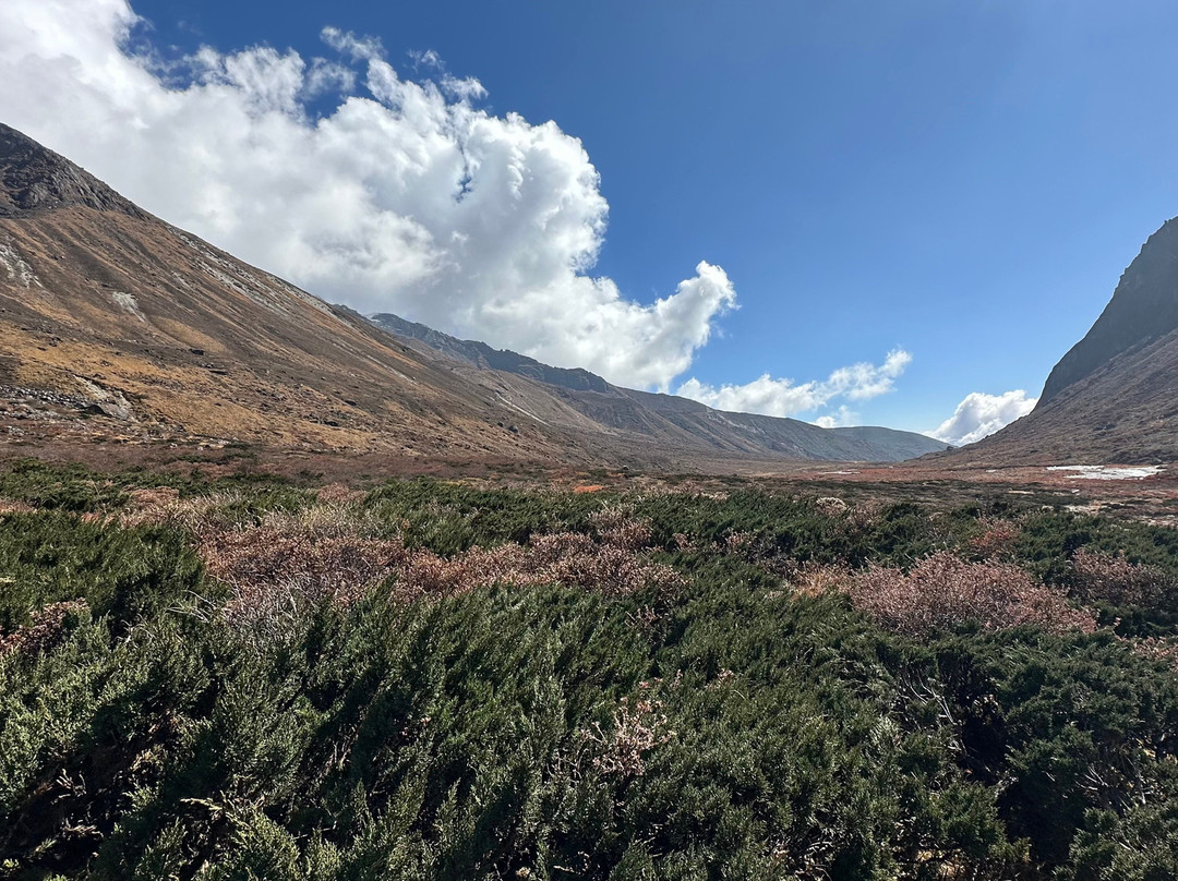Glacier Trek and Adventure-Yuksom必去景点