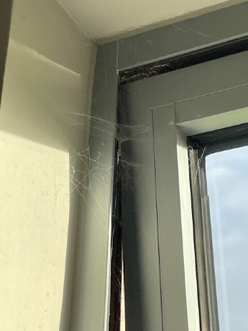 利兹东华美达温德姆酒店-客卧